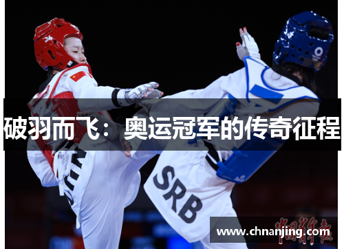 破羽而飞：奥运冠军的传奇征程
