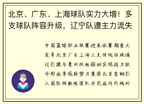 北京、广东、上海球队实力大增！多支球队阵容升级，辽宁队遭主力流失主题。